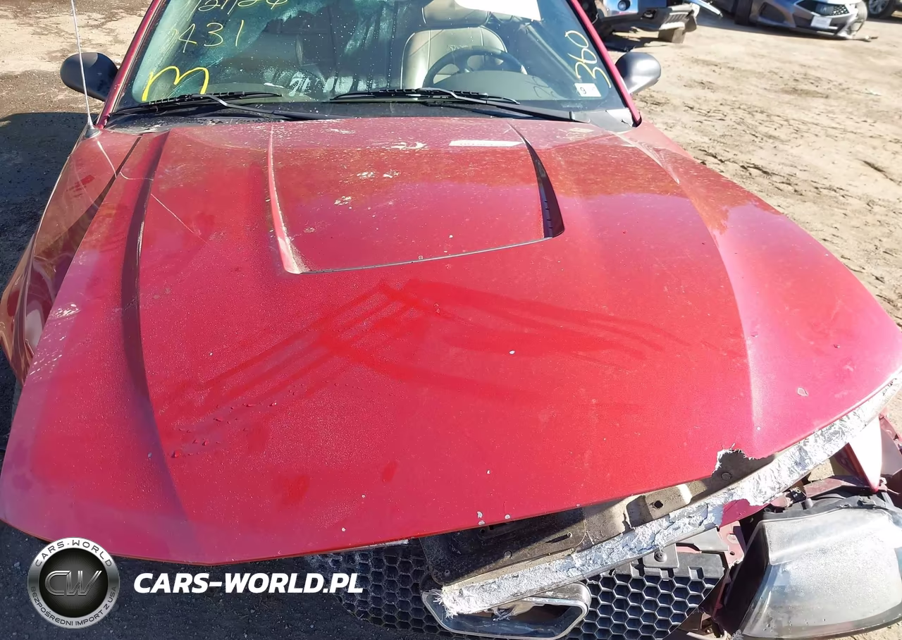2003 Ford Mustang VIN:1FAFP44453F367431 - 10