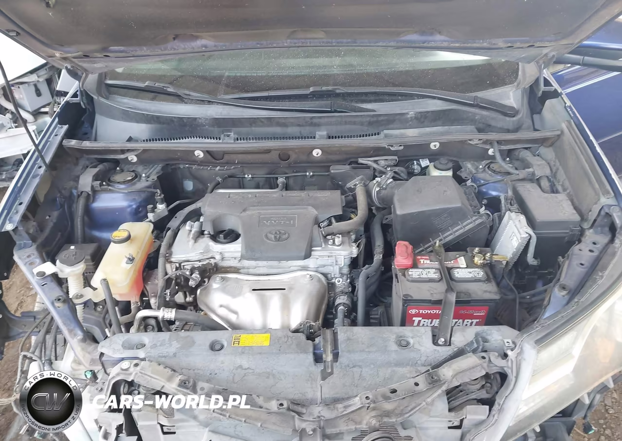 2015 Toyota Rav4 Xle VIN:2T3WFREVXFW226763 - 10