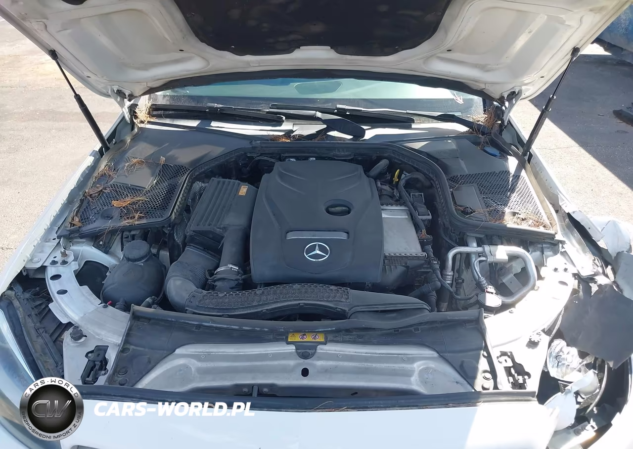 2017 Mercedes-Benz C 300 VIN:55SWF4JB6HU211019 - 10