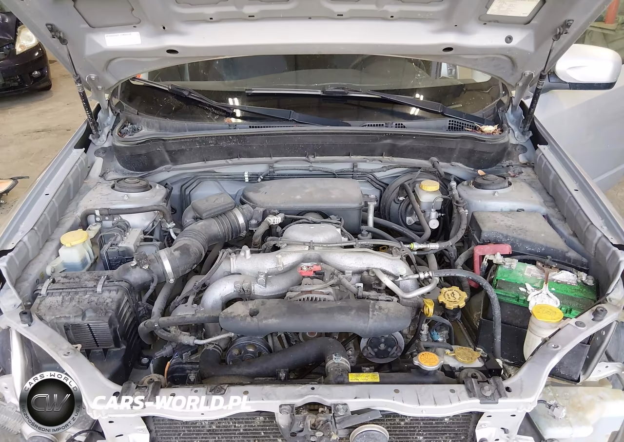 2010 Subaru Forester 2.5X Premium VIN:JF2SH6CC8AH786192 - 10