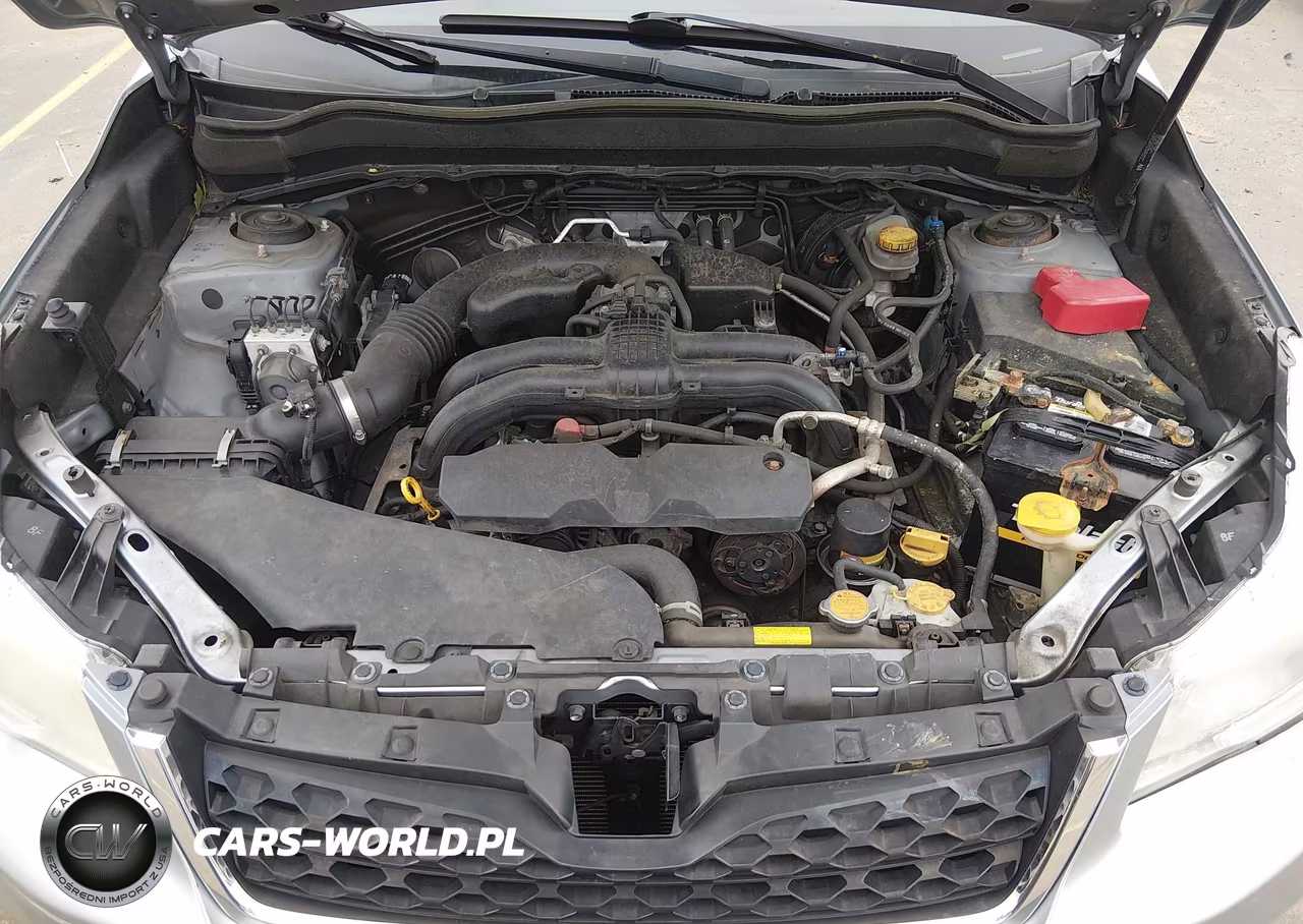 2014 Subaru Forester 2.5I Limited VIN:JF2SJAHC3EH482922 - 10