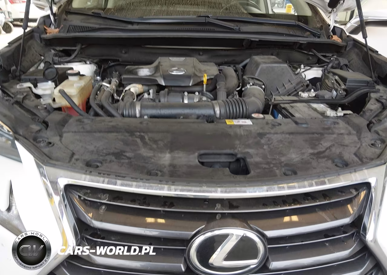2017 Lexus Nx 200T VIN:JTJYARBZ7H2082080 - 10