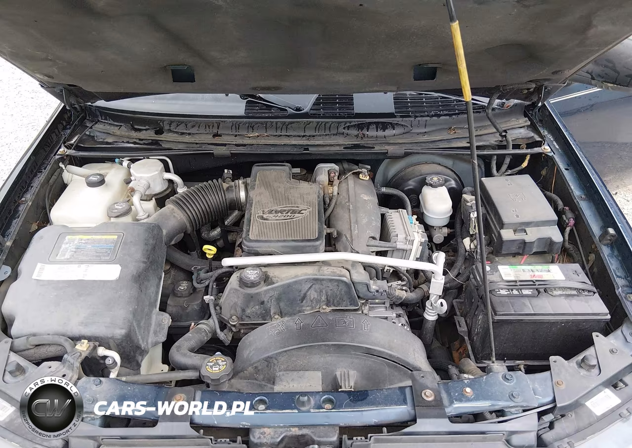 2004 Chevrolet Trailblazer Ext Ls VIN:1GNES16S946234436 - 10