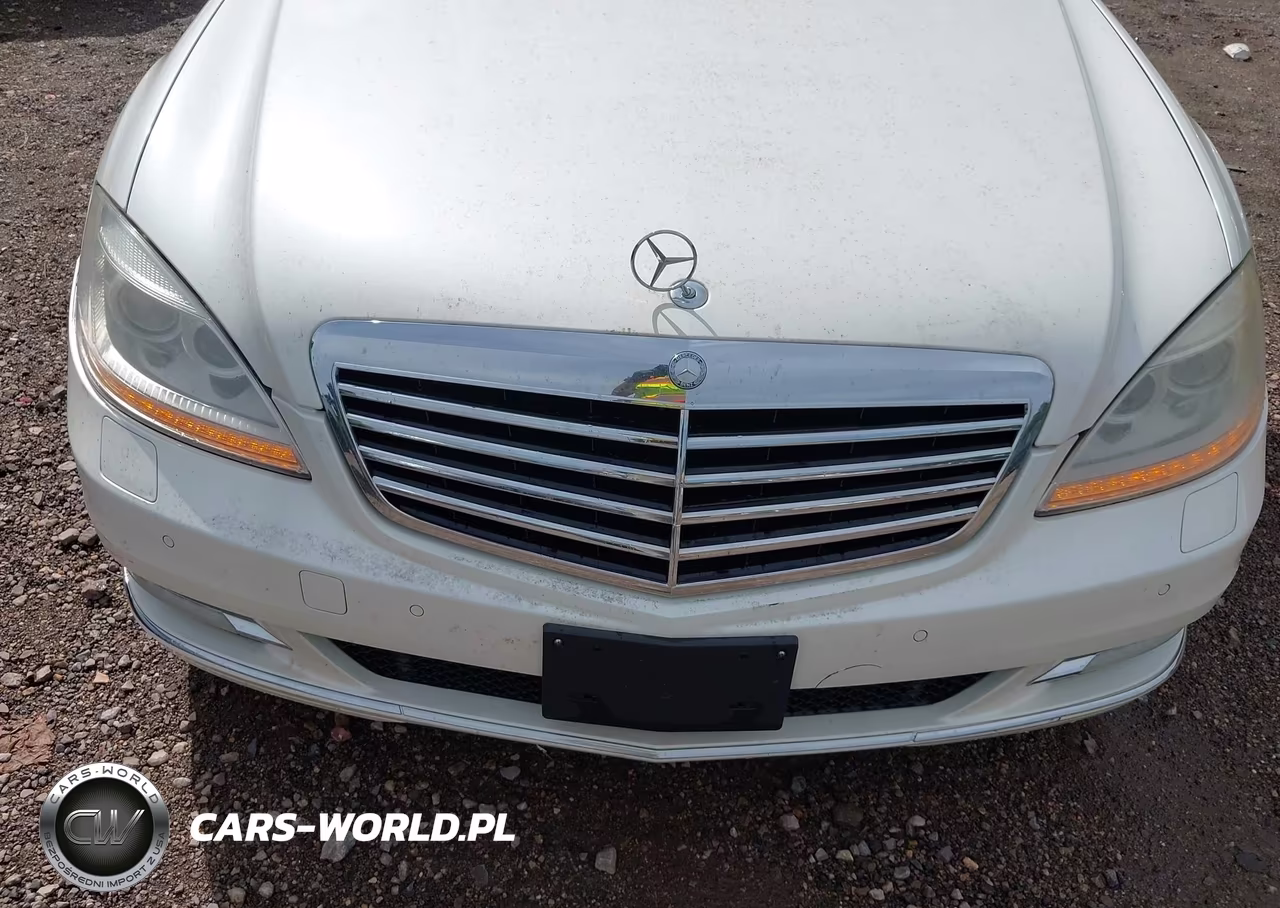 2010 Mercedes-Benz S 550 4Matic VIN:WDDNG8GB7AA340691 - 6