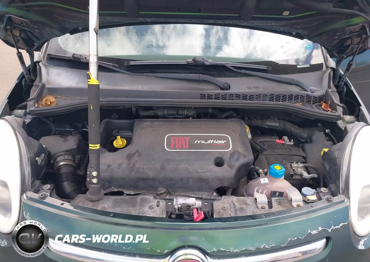2016 Fiat 500L Trekking VIN:ZFBCFADH6GZ037886 - 10