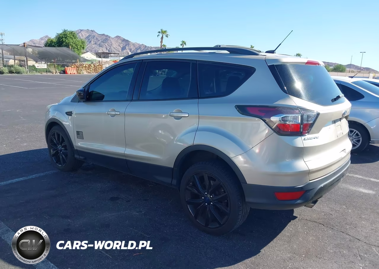 2017 Ford Escape Se VIN:1FMCU0GD3HUB44670 - 3