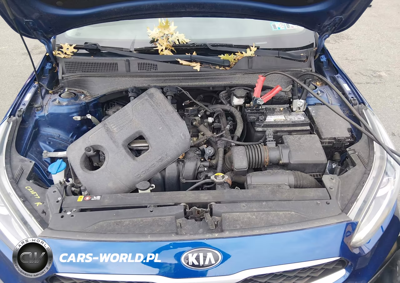 2019 Kia Forte Lxs VIN:3KPF24AD3KE018905 - 10