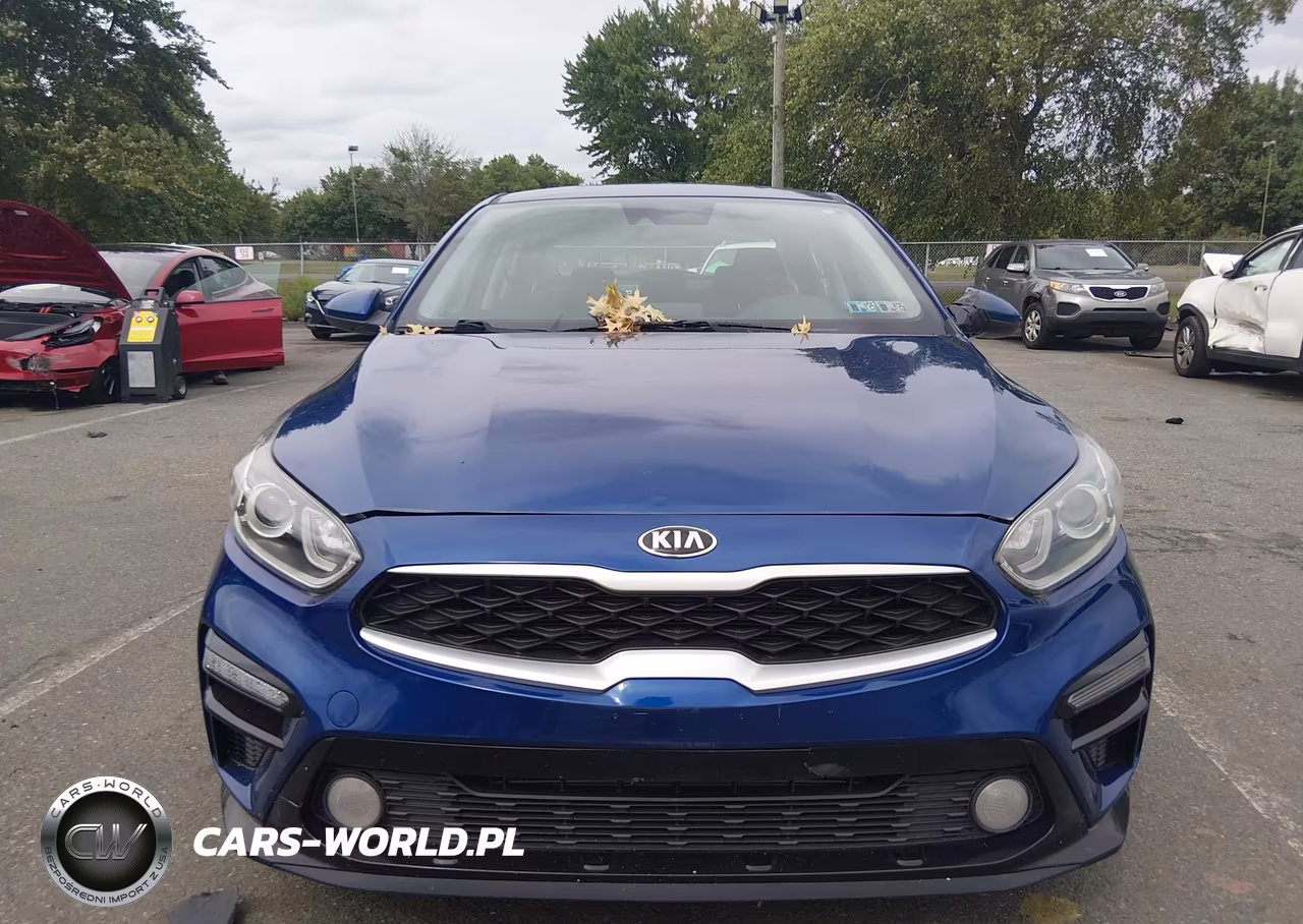 2019 Kia Forte Lxs VIN:3KPF24AD3KE018905 - 12