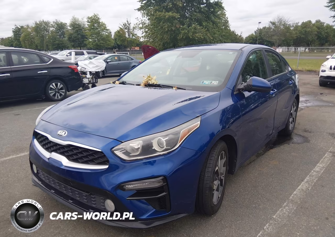 2019 Kia Forte Lxs VIN:3KPF24AD3KE018905 - 2