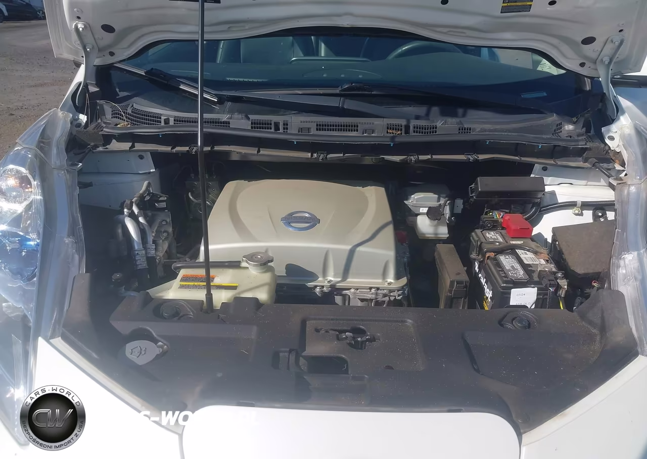 2015 Nissan Leaf Sl VIN:1N4AZ0CPXFC320880 - 10