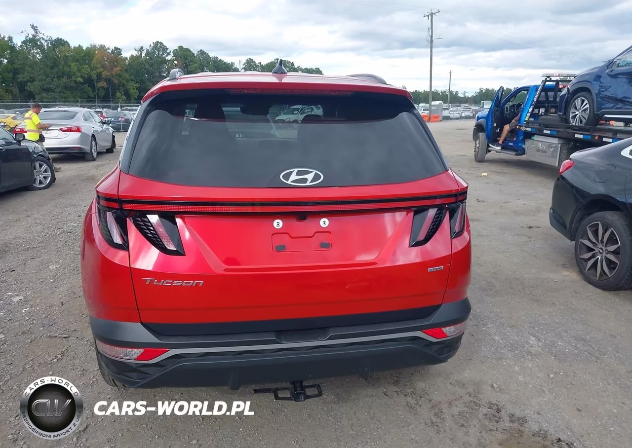2023 Hyundai Tucson Sel VIN:5NMJFCAE0PH214009 - 17