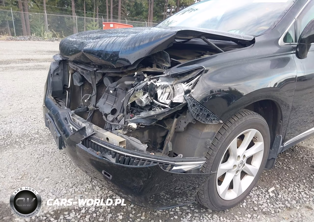 2010 Lexus Rx 350 VIN:2T2BK1BA5AC065508 - 6