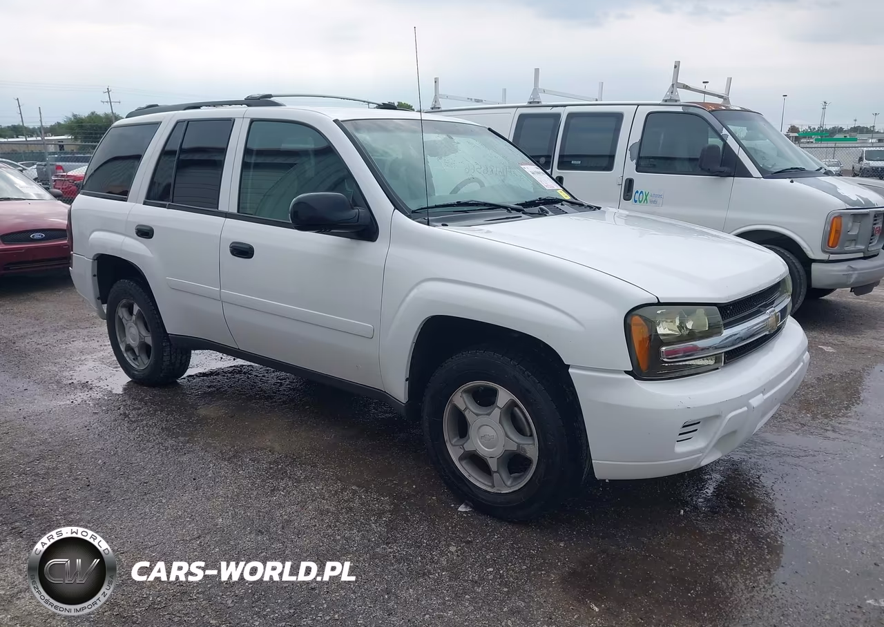 2008 Chevrolet Trailblazer Fleet VIN:1GNDT13S982183546 - 1