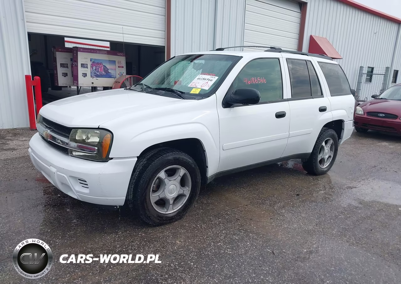 2008 Chevrolet Trailblazer Fleet VIN:1GNDT13S982183546 - 2