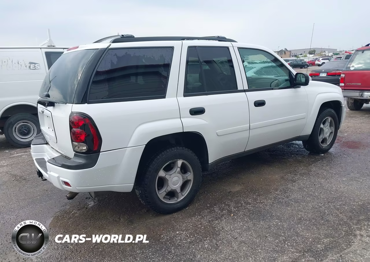 2008 Chevrolet Trailblazer Fleet VIN:1GNDT13S982183546 - 4
