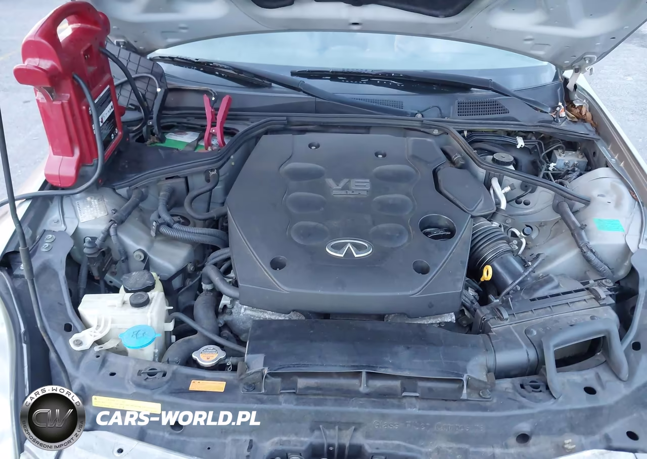 2004 Infiniti G35X VIN:JNKCV51F24M713834 - 10