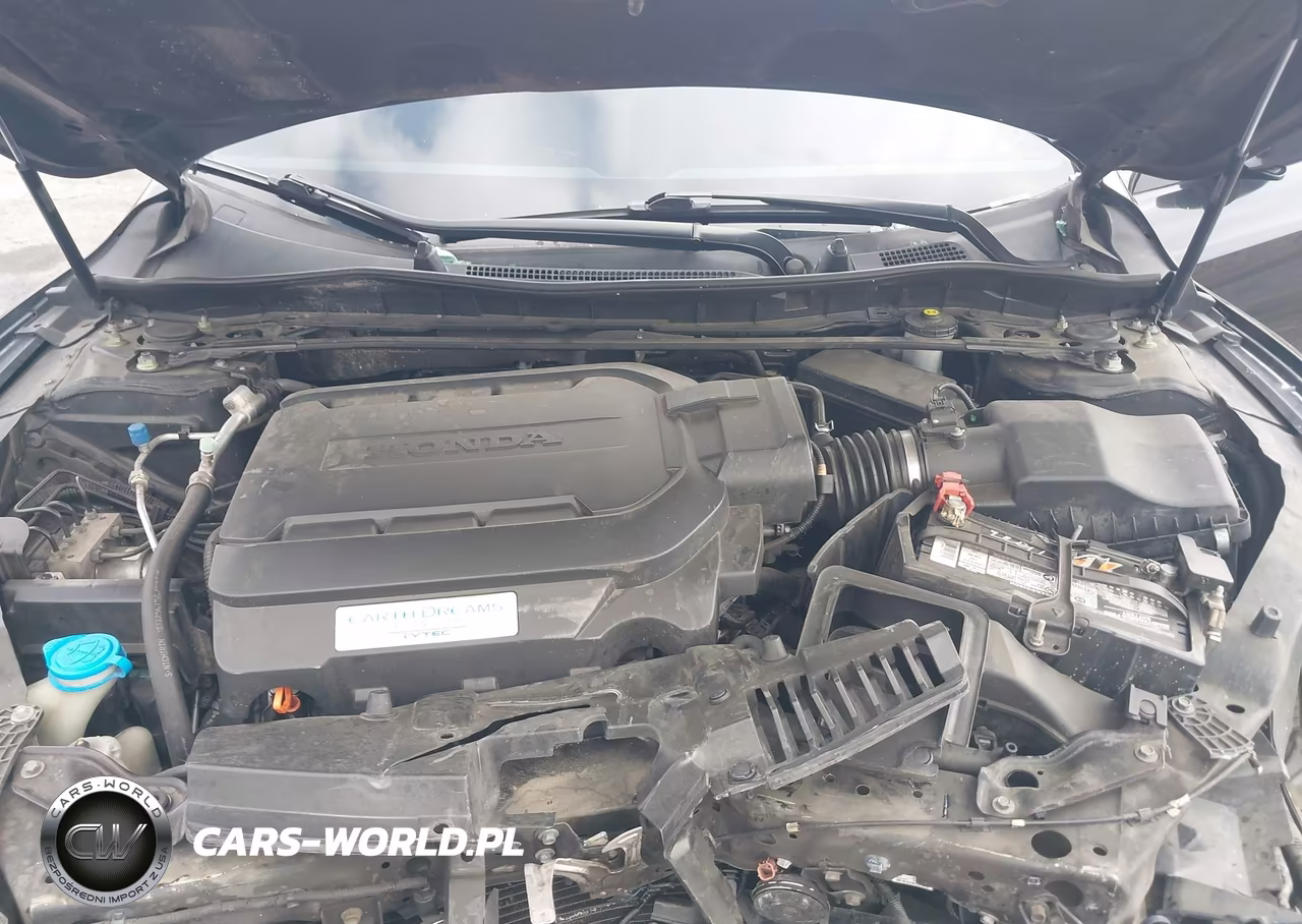 2013 Honda Accord Sdn Ex-L-Ex-L V-6 VIN:1HGCR3F85DA004371 - 10