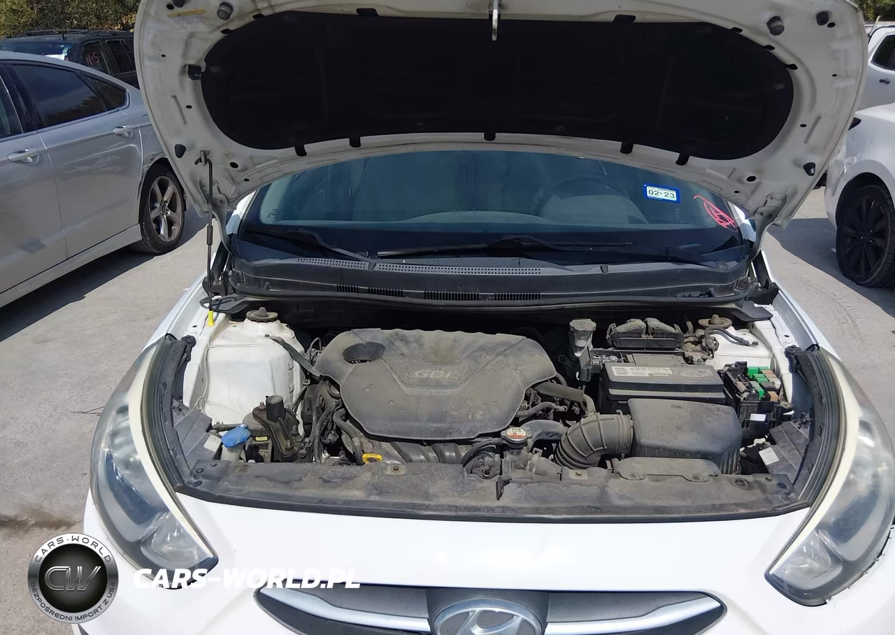 2015 Hyundai Accent Gs VIN:KMHCT5AE7FU213309 - 10