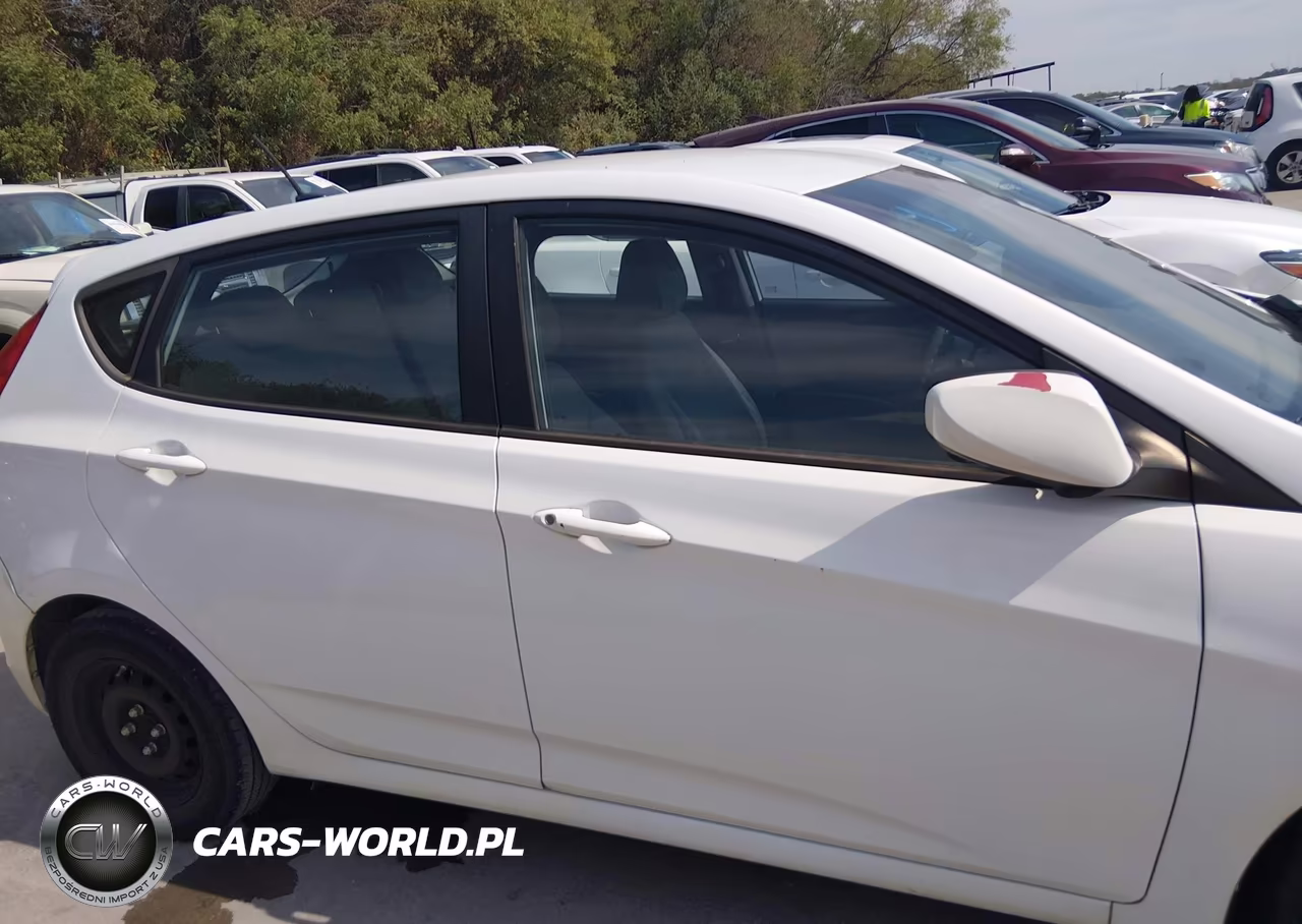 2015 Hyundai Accent Gs VIN:KMHCT5AE7FU213309 - 13