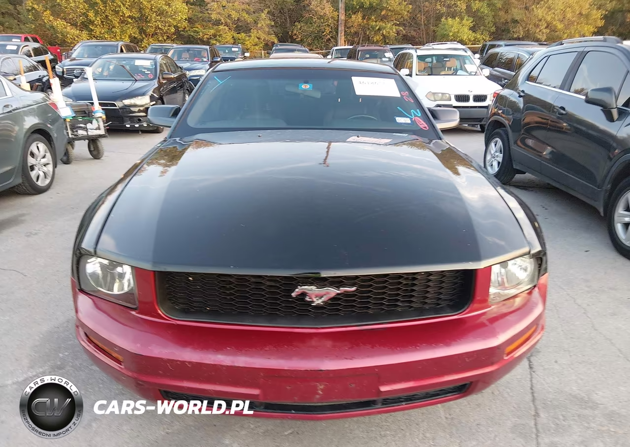 2009 Ford Mustang V6-V6 Premium VIN:1ZVHT80N495136858 - 13