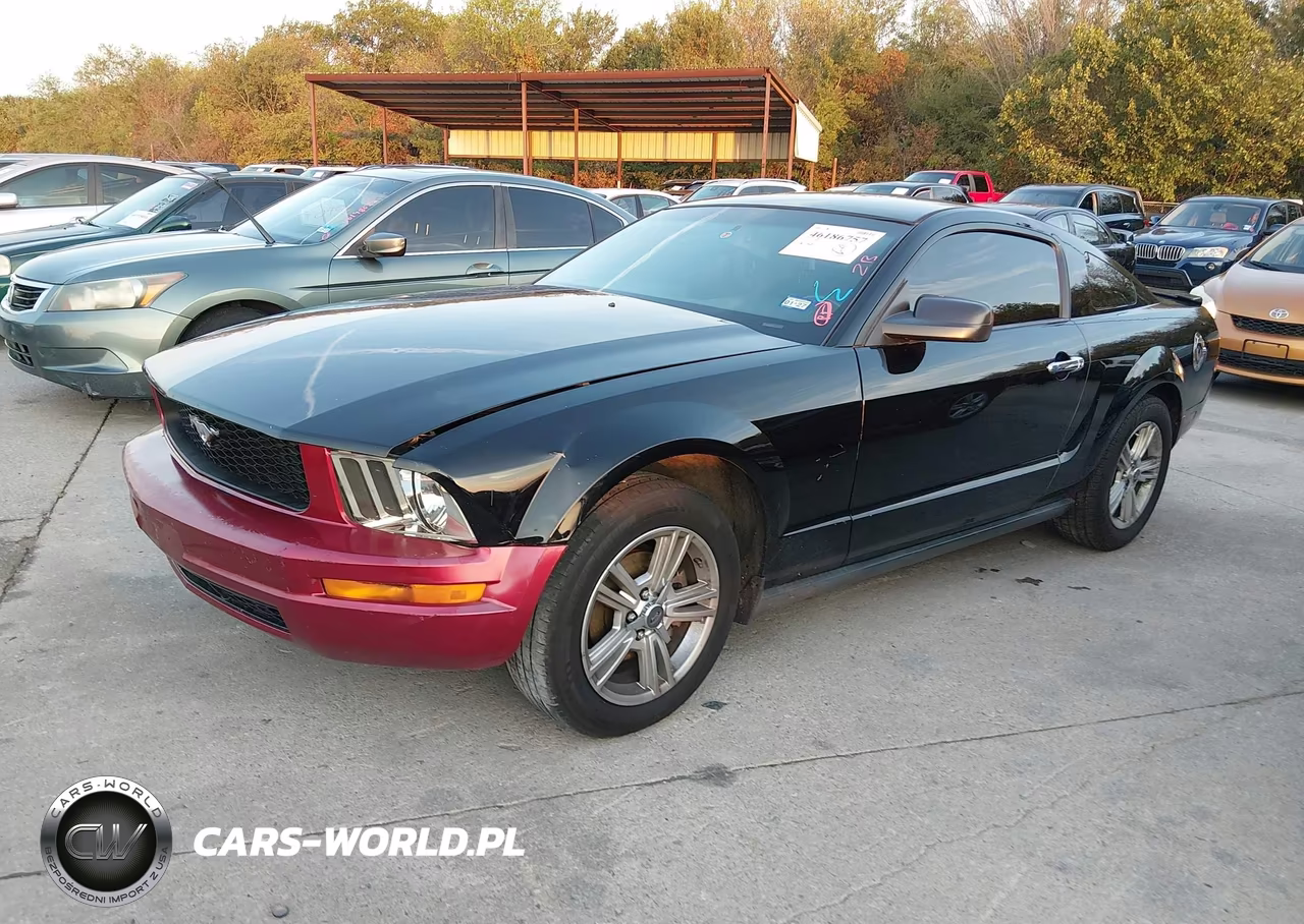 2009 Ford Mustang V6-V6 Premium VIN:1ZVHT80N495136858 - 2