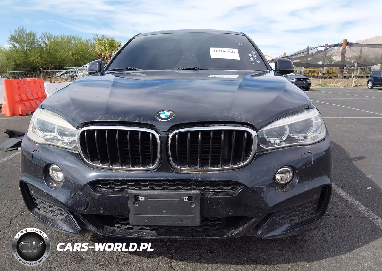 2016 BMW X6 xDrive35I VIN:5UXKU2C58G0N80607 - 12