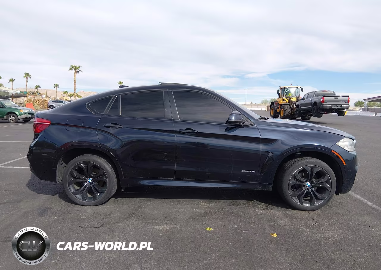 2016 BMW X6 xDrive35I VIN:5UXKU2C58G0N80607 - 13