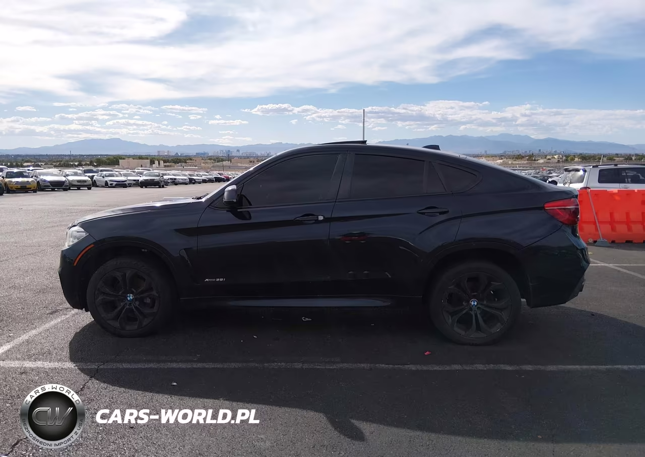 2016 BMW X6 xDrive35I VIN:5UXKU2C58G0N80607 - 14