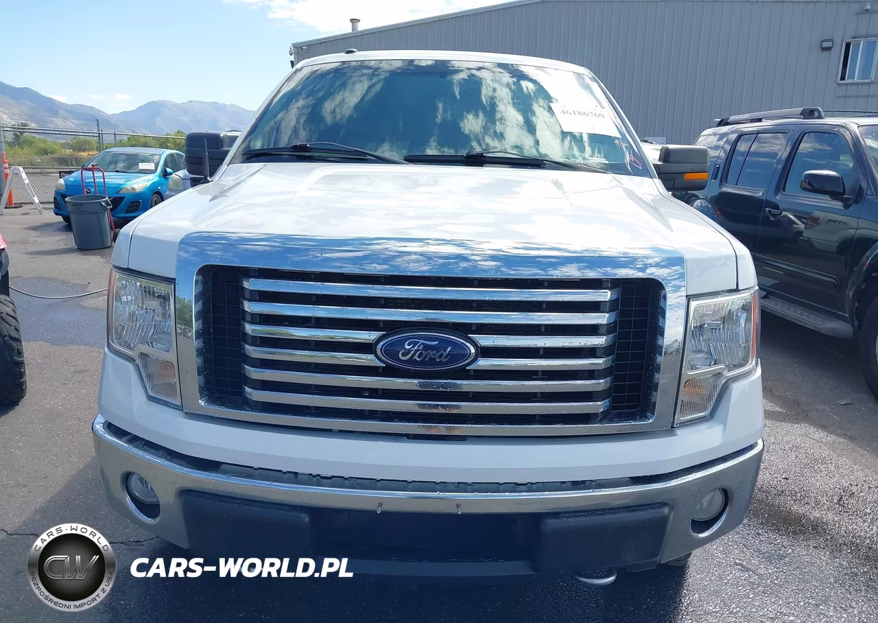 2010 Ford F-150 Fx4-Lariat-Xl-Xlt VIN:1FTFX1EV8AFB57466 - 12