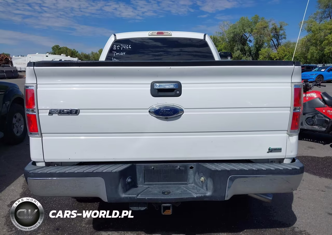 2010 Ford F-150 Fx4-Lariat-Xl-Xlt VIN:1FTFX1EV8AFB57466 - 16