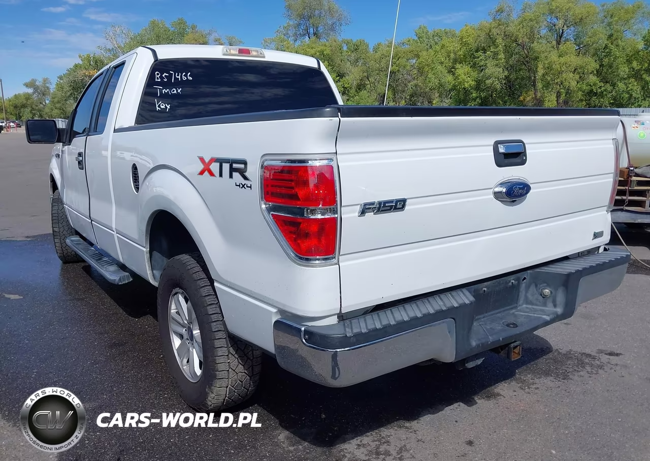 2010 Ford F-150 Fx4-Lariat-Xl-Xlt VIN:1FTFX1EV8AFB57466 - 3