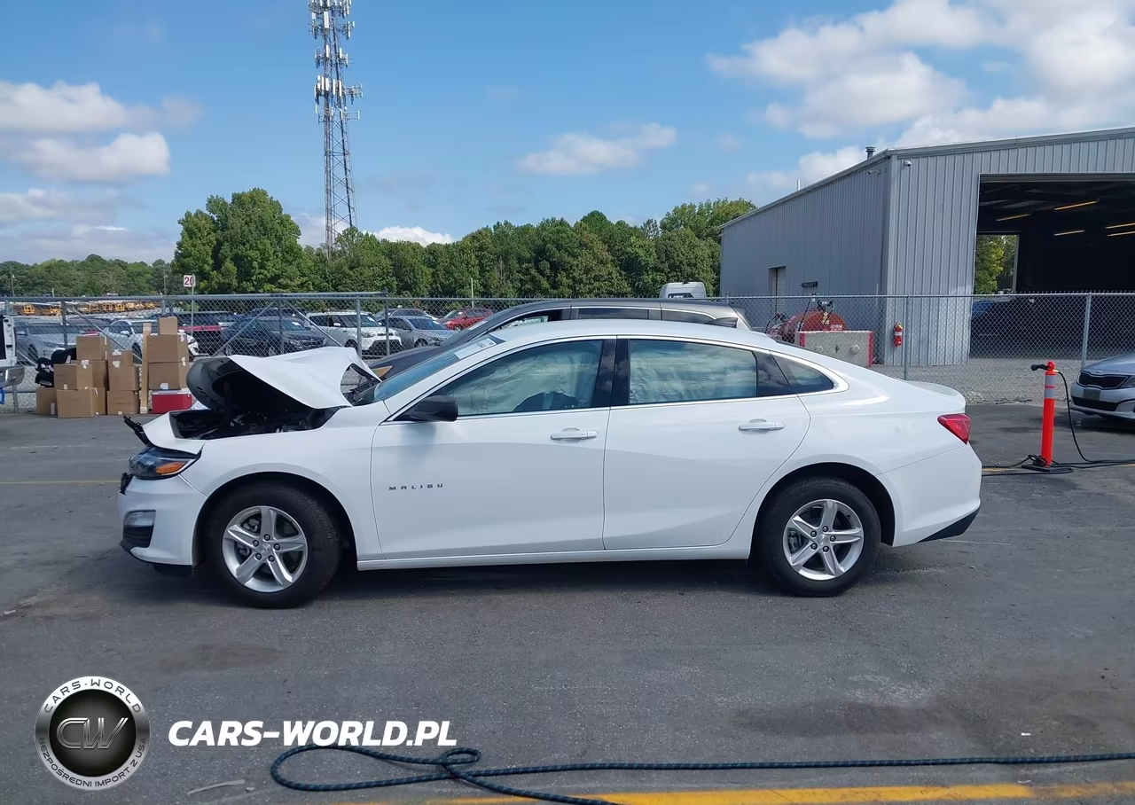 2024 Chevrolet Malibu Fwd 1Fl VIN:1G1ZC5ST8RF189177 - 14