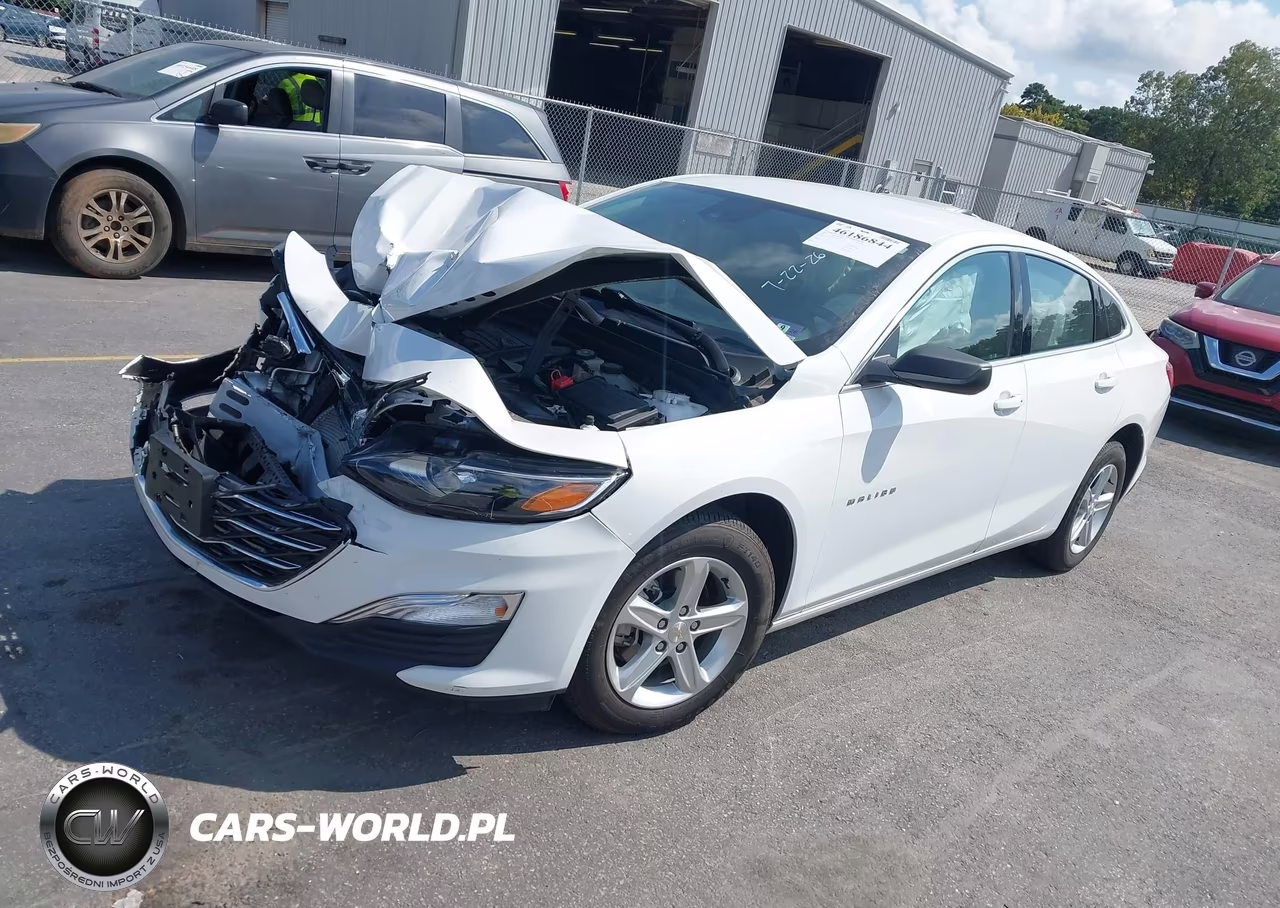 2024 Chevrolet Malibu Fwd 1Fl VIN:1G1ZC5ST8RF189177 - 2