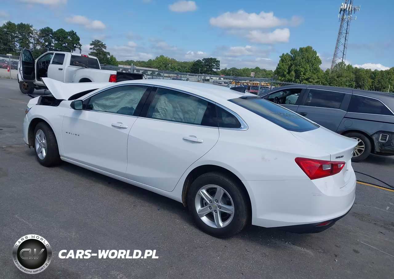 2024 Chevrolet Malibu Fwd 1Fl VIN:1G1ZC5ST8RF189177 - 3