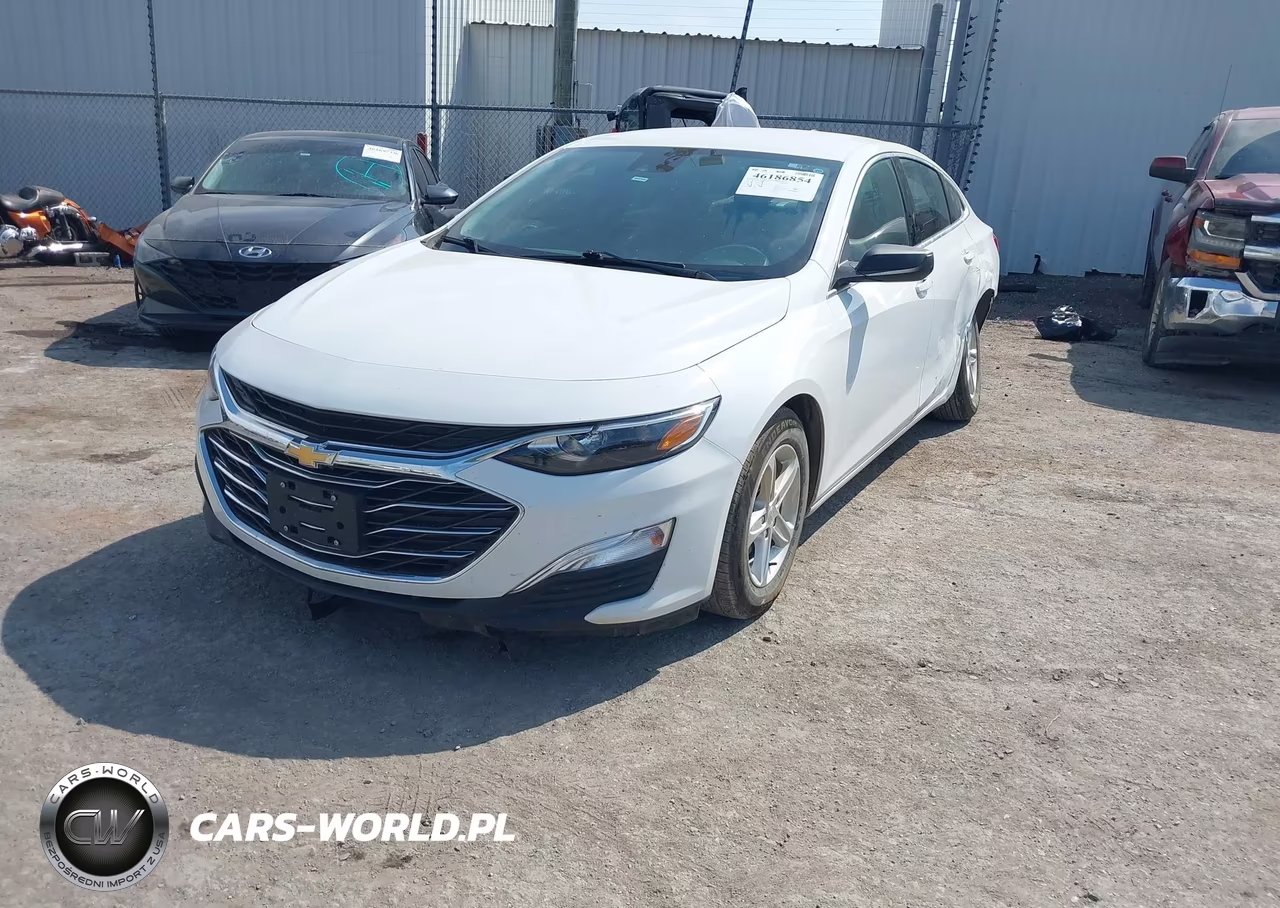 2023 Chevrolet Malibu Fwd 1Fl VIN:1G1ZC5ST6PF173928 - 2