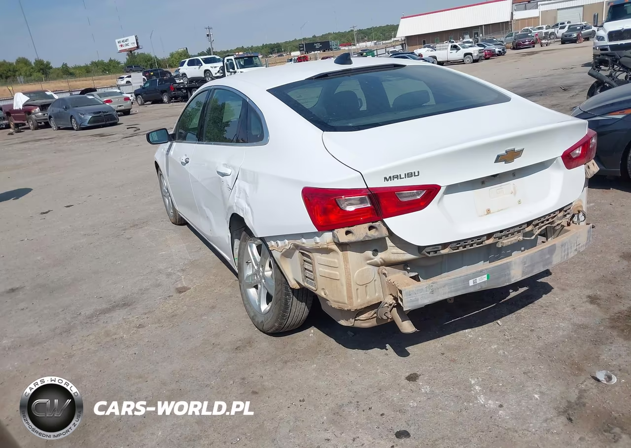 2023 Chevrolet Malibu Fwd 1Fl VIN:1G1ZC5ST6PF173928 - 3
