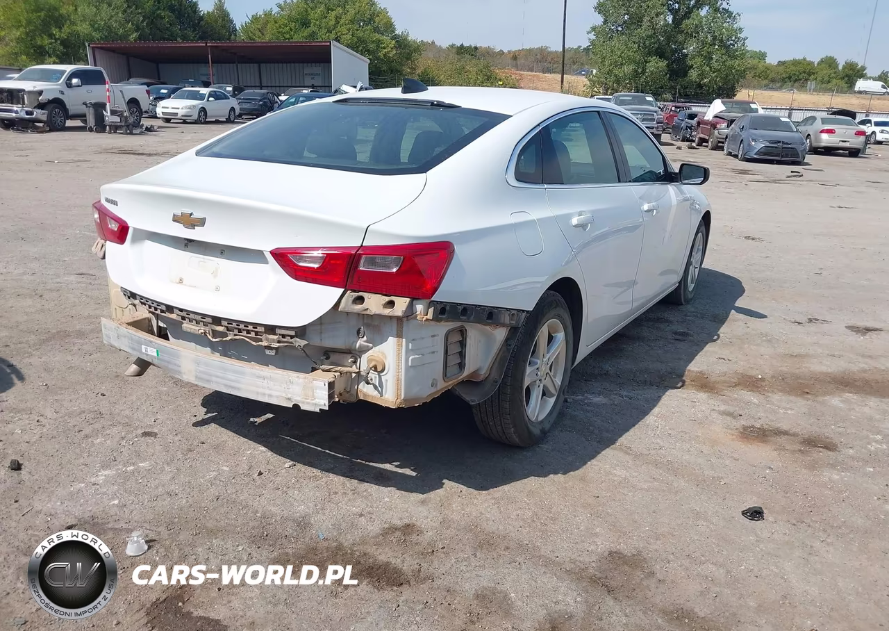 2023 Chevrolet Malibu Fwd 1Fl VIN:1G1ZC5ST6PF173928 - 4