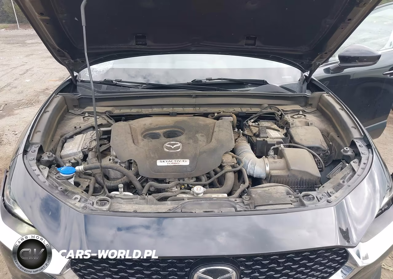 2021 Mazda Cx-30 2.5 Turbo VIN:3MVDMBAY8MM260430 - 10