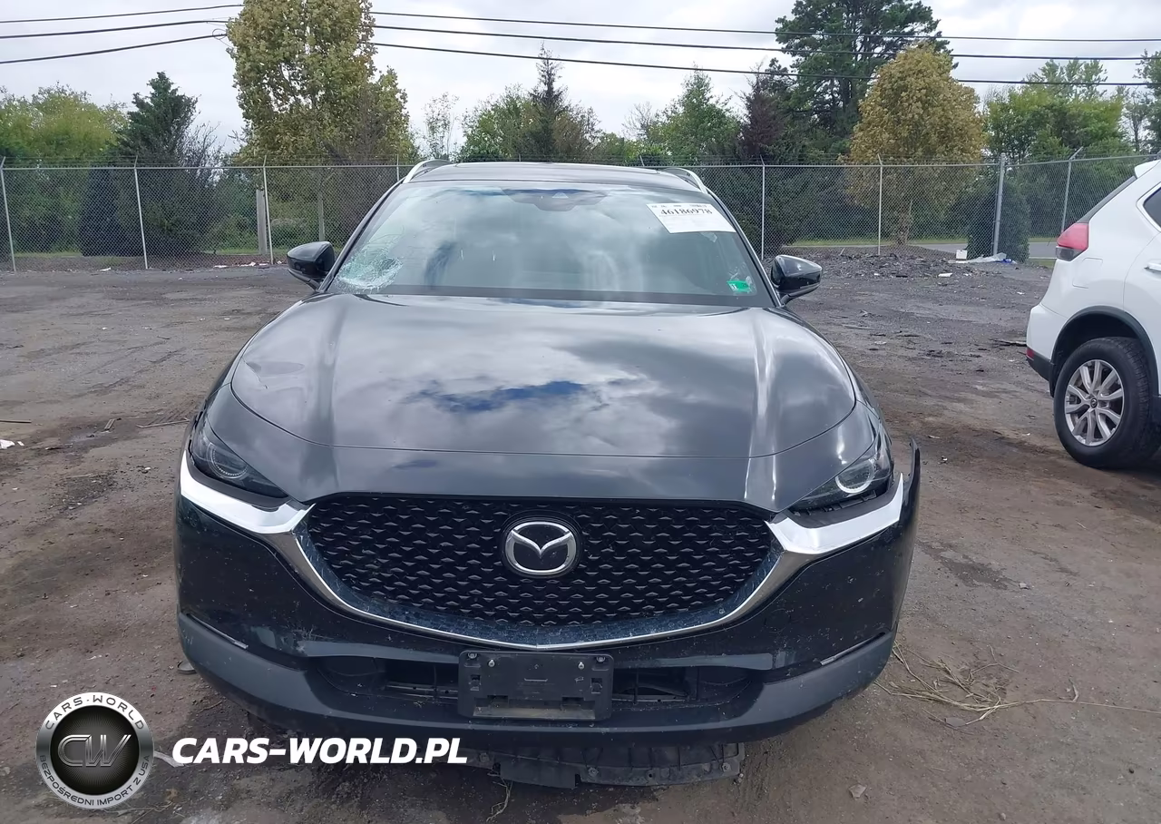 2021 Mazda Cx-30 2.5 Turbo VIN:3MVDMBAY8MM260430 - 12