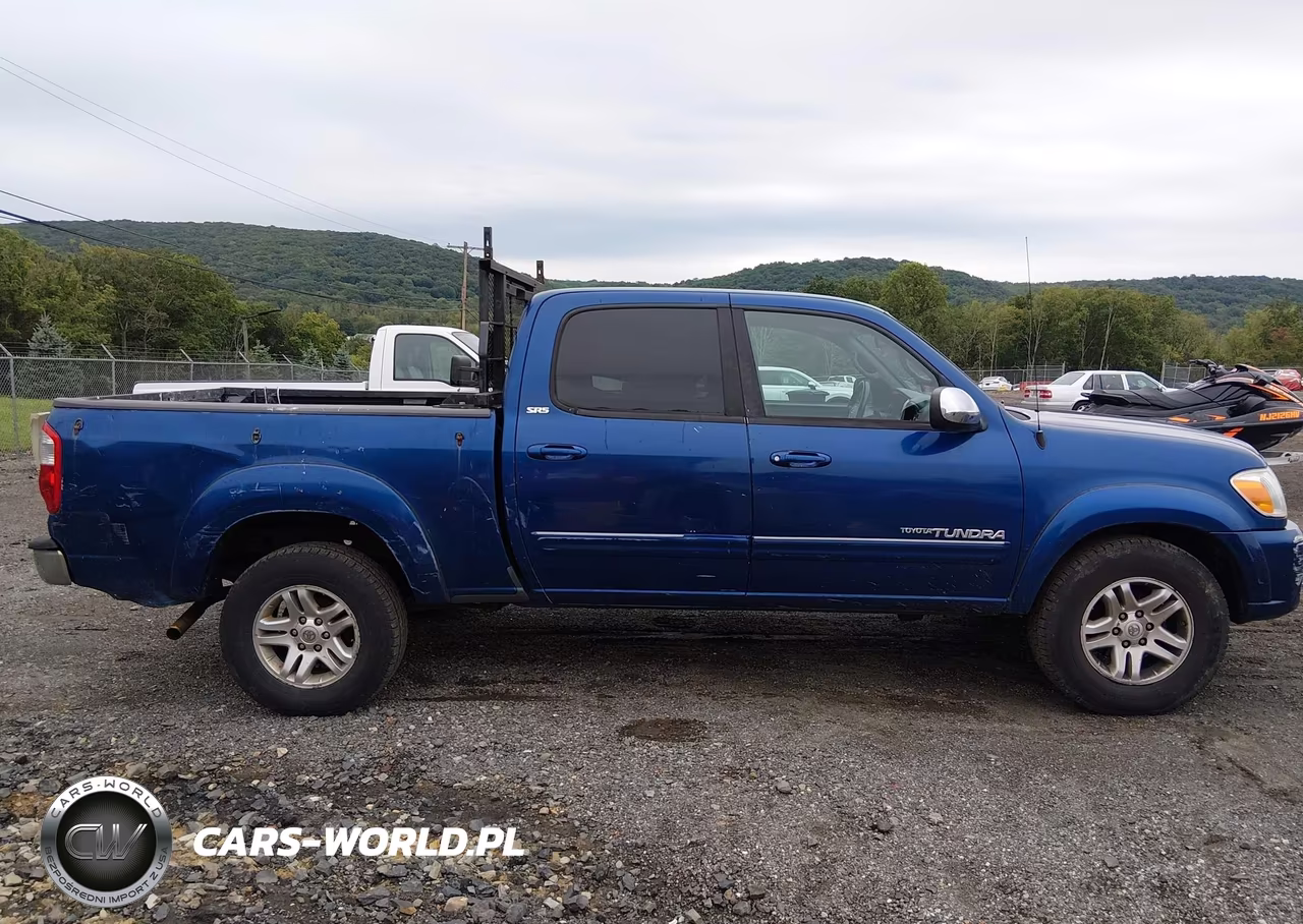 2006 Toyota Tundra Sr5 V8 VIN:5TBDT44196S548225 - 13