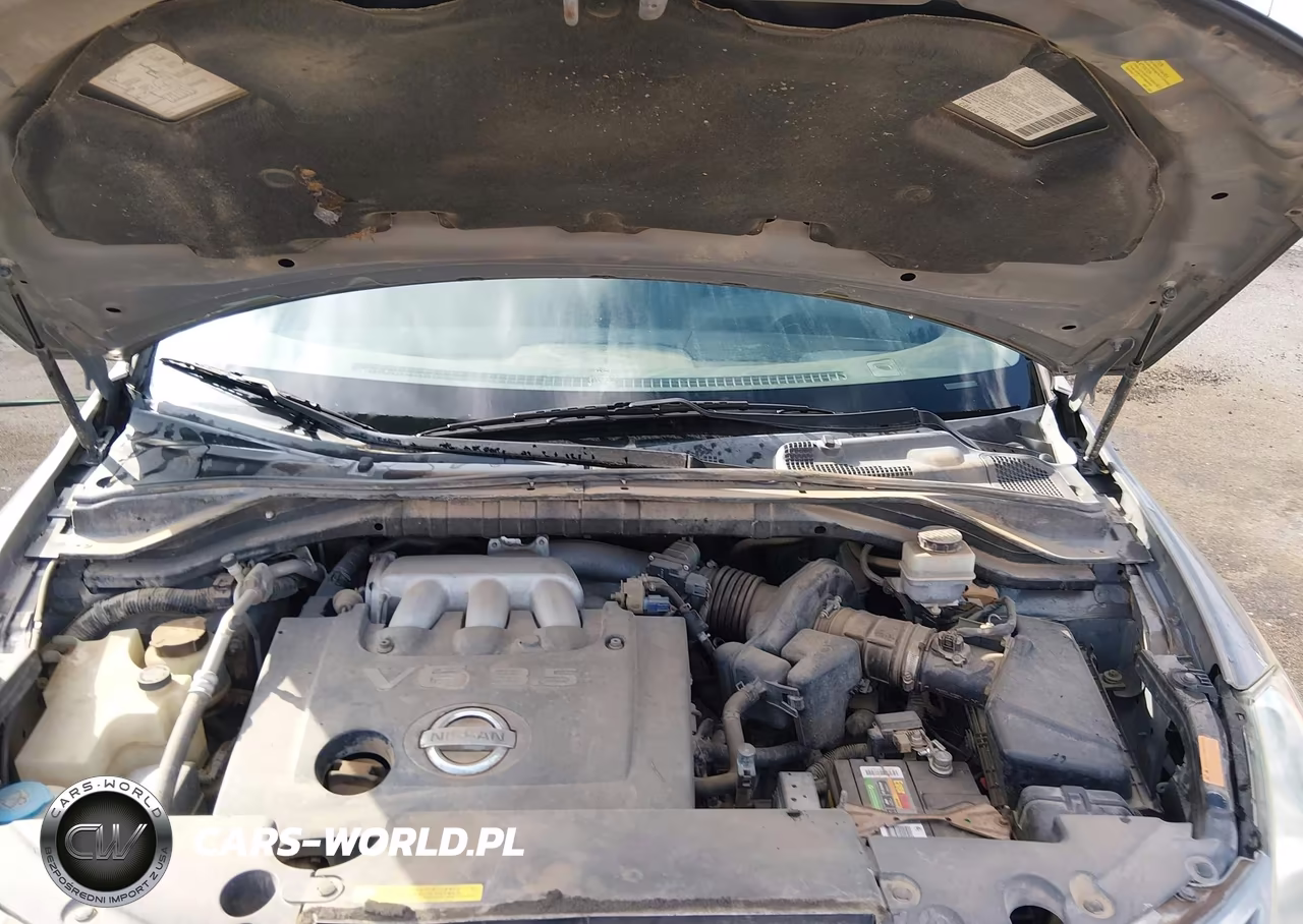 2004 Nissan Murano Sl VIN:JN8AZ08W94W340239 - 10