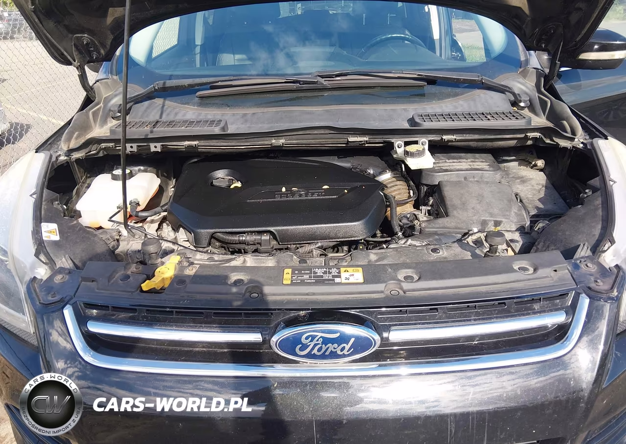 2014 Ford Escape Titanium VIN:1FMCU0JX1EUD43117 - 10