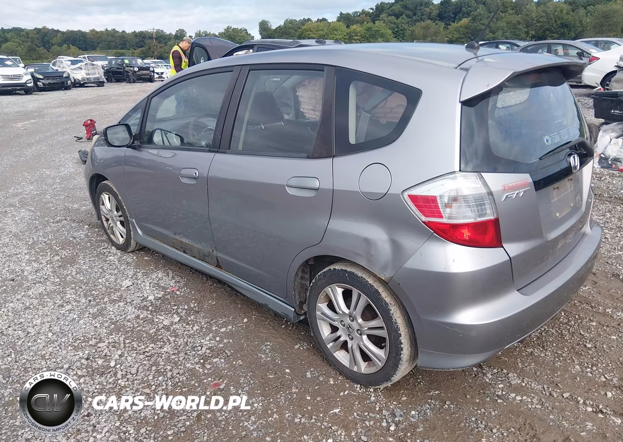 2010 Honda Fit Sport VIN:JHMGE8G45AC002154 - 3