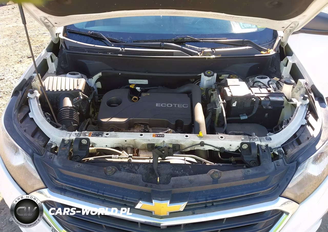 2020 Chevrolet Equinox Fwd Ls VIN:3GNAXHEV7LS579012 - 10