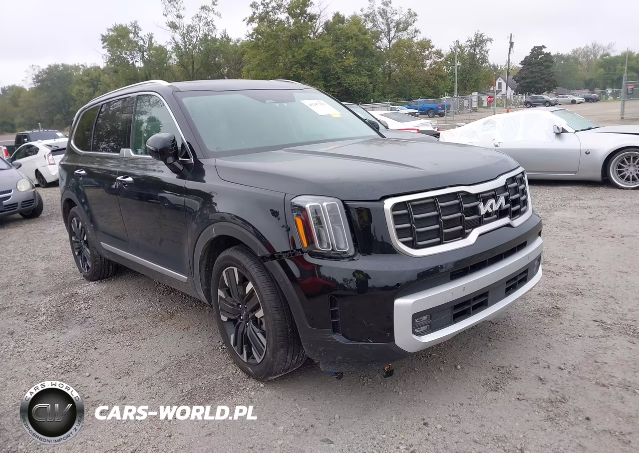 2025 Kia Telluride Sx VIN:5XYP5DGC4SG636408 - 1