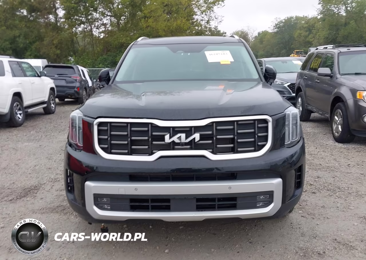 2025 Kia Telluride Sx VIN:5XYP5DGC4SG636408 - 11