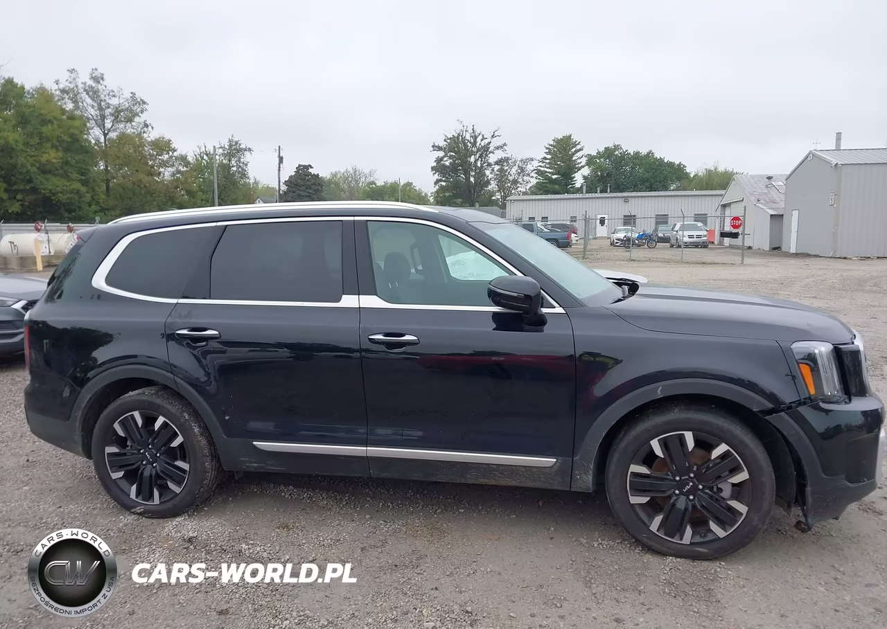 2025 Kia Telluride Sx VIN:5XYP5DGC4SG636408 - 12
