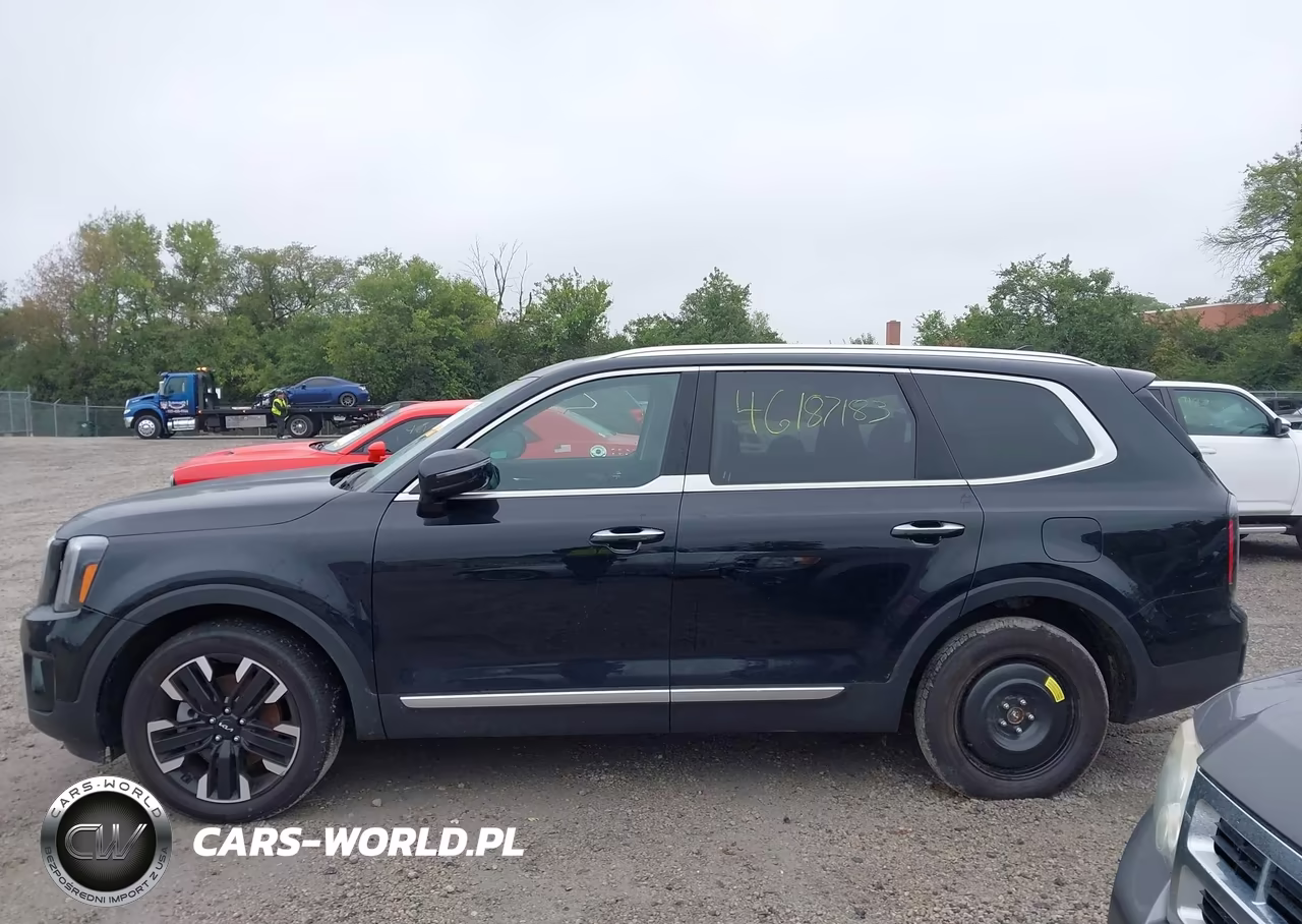 2025 Kia Telluride Sx VIN:5XYP5DGC4SG636408 - 13