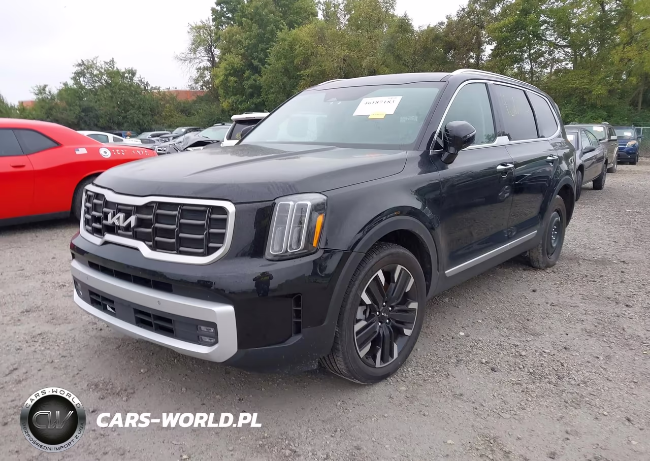 2025 Kia Telluride Sx VIN:5XYP5DGC4SG636408 - 2