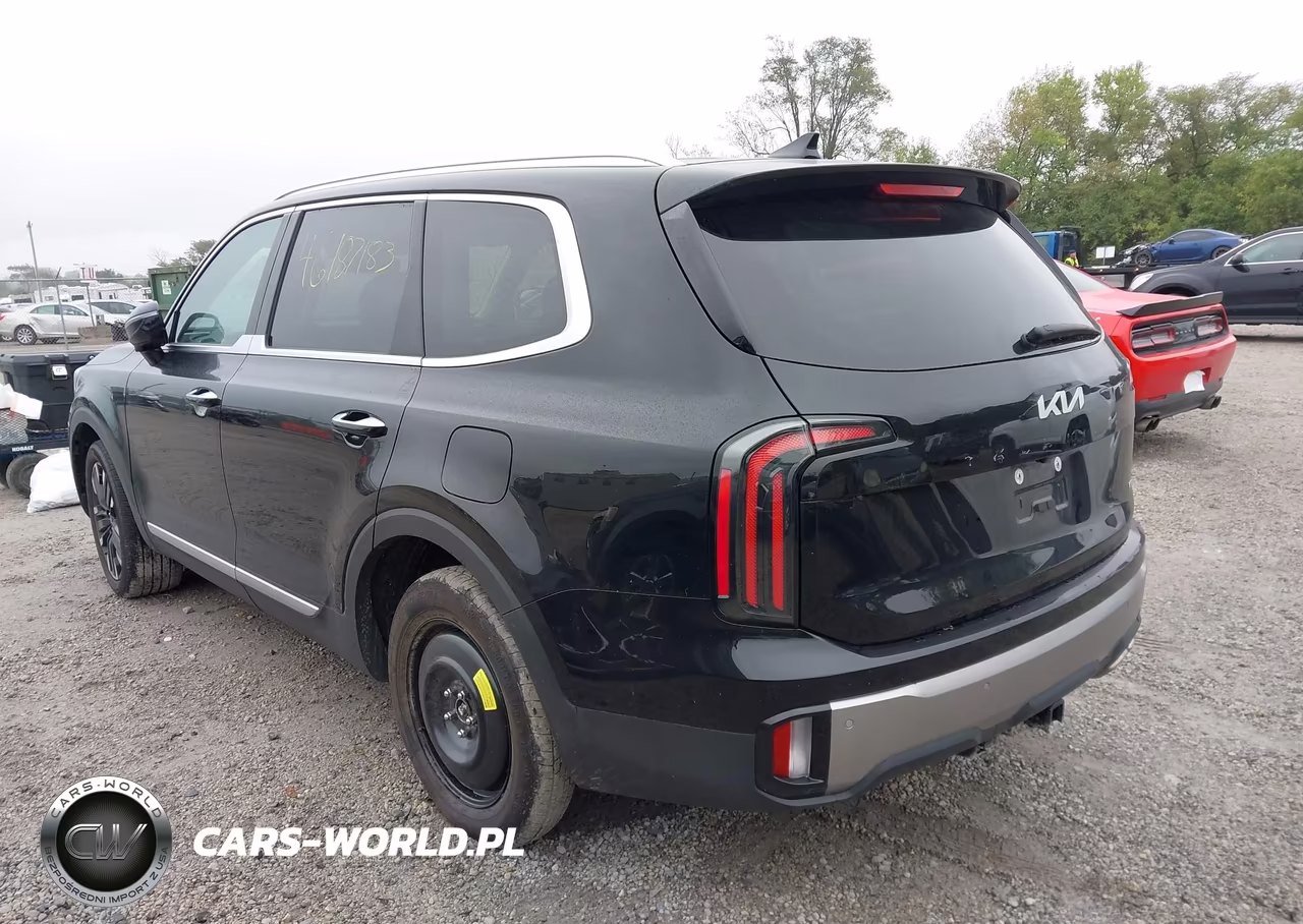 2025 Kia Telluride Sx VIN:5XYP5DGC4SG636408 - 3